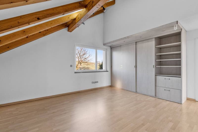 Freistehendes EFH mit Swimmingpool, Sauna, Hobbyraum und grosser Garage! (10)