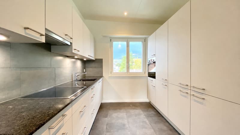 Moderne 3.5-Zimmer-Wohnung mit Dachfenstern und grossem Balkon (1)