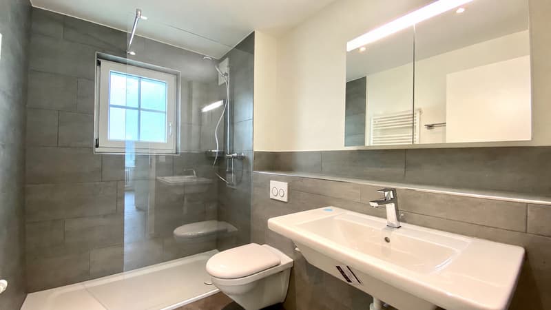 Moderne 3.5-Zimmer-Wohnung mit Dachfenstern und grossem Balkon (4)