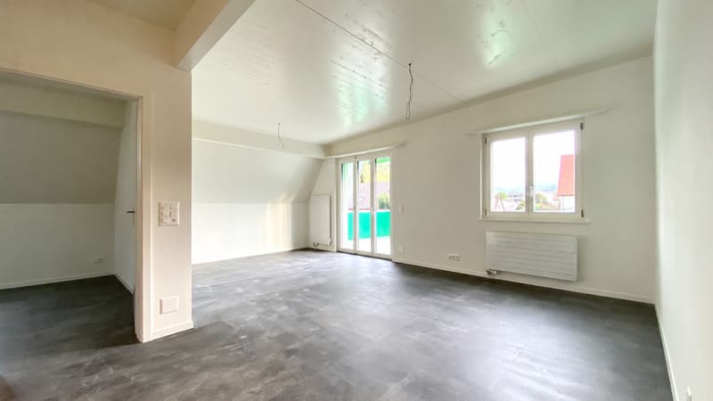 Moderne 3.5-Zimmer-Wohnung mit Dachfenstern und grossem Balkon (2)