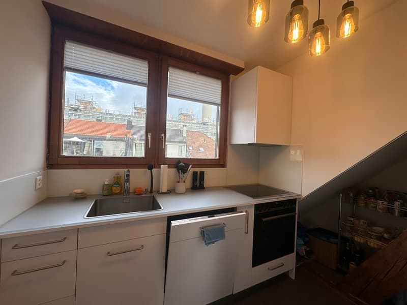 Charmante 2.5-Zimmer-Dachwohnung mit Dachterrasse! (3)