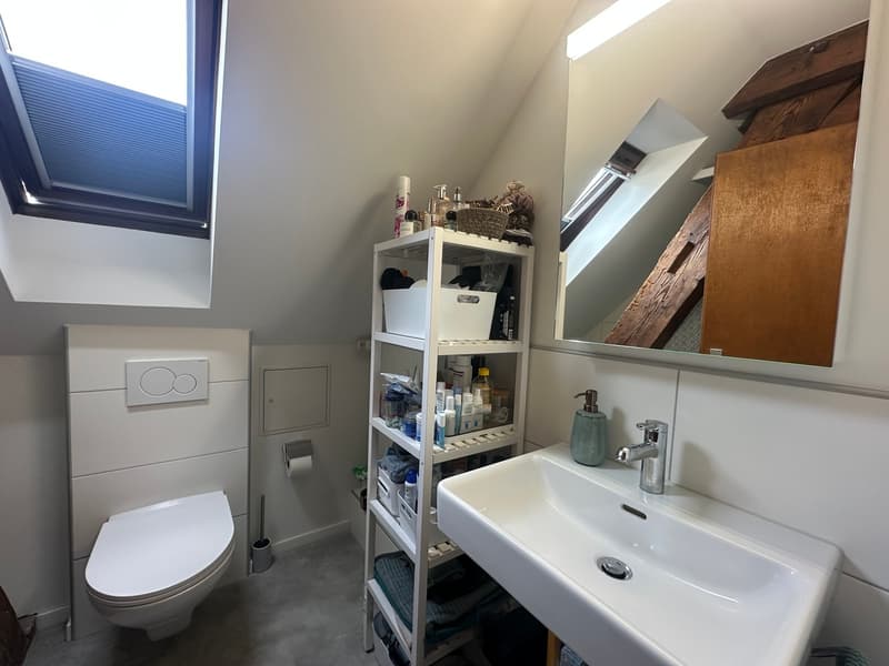 Charmante 2.5-Zimmer-Dachwohnung mit Dachterrasse! (5)