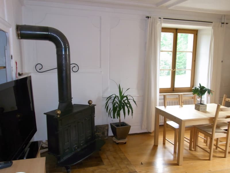 Appartement avec jardin dans charmante maison (8)