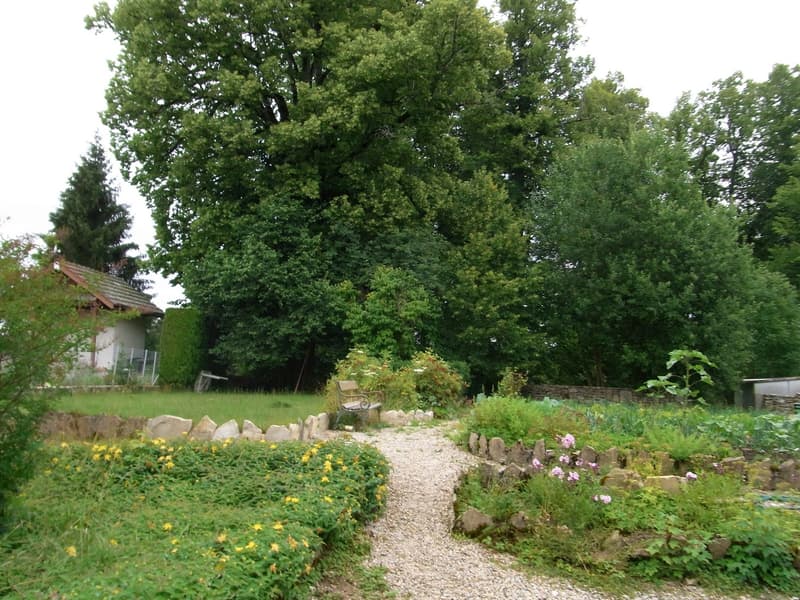Appartement avec jardin dans charmante maison (13)