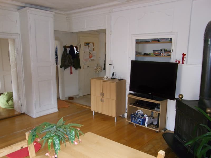 Appartement avec jardin dans charmante maison (5)