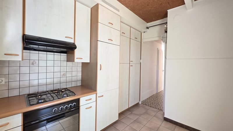 APPARTEMENT AVEC TERRASSE COMMUNE ET GARAGE (3)