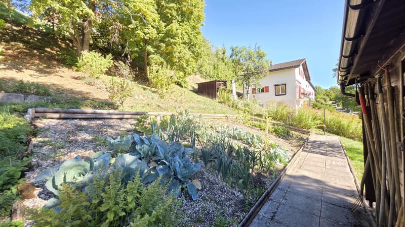 APPARTEMENT AVEC TERRASSE COMMUNE ET GARAGE (13)