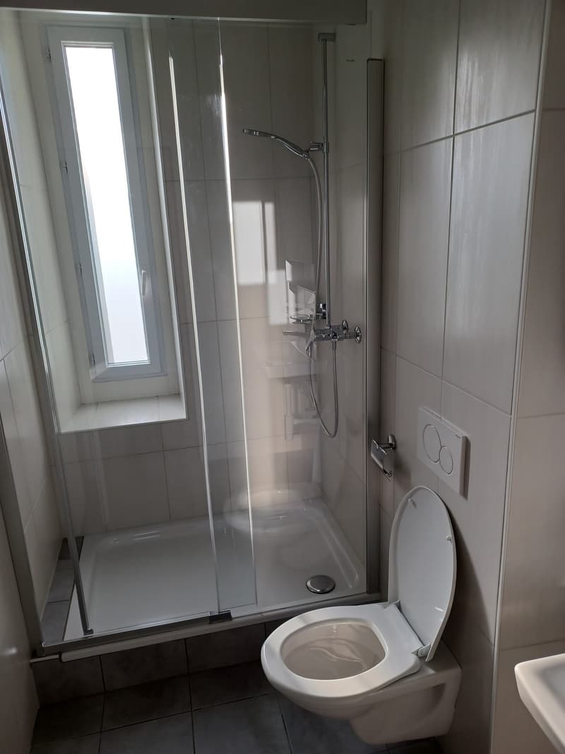 4.5 pièces tout confort dans quartier calme (6)