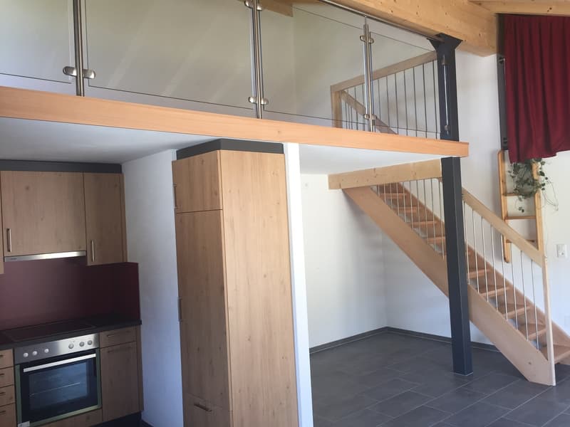 Charmant appartement de 2 pièces avec terrasse privative  Cadre calme et verdoyant (6)