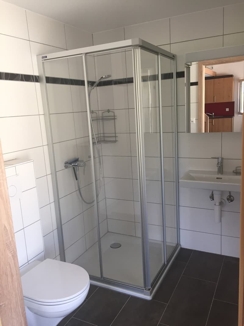 Charmant appartement de 2 pièces avec terrasse privative  Cadre calme et verdoyant (7)