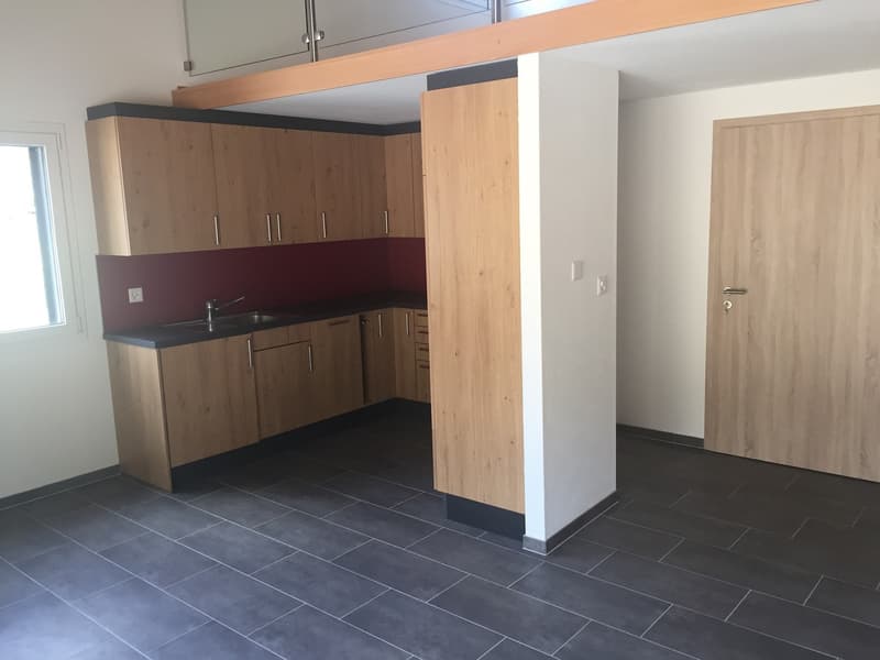 Charmant appartement de 2 pièces avec terrasse privative  Cadre calme et verdoyant (4)
