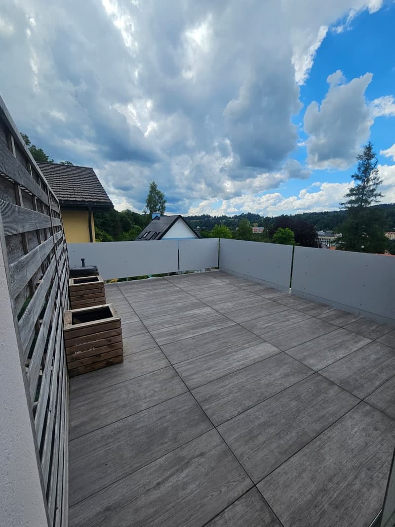 2.5 pièces meublé avec terrasse et vue dégagée + place de parc (1)