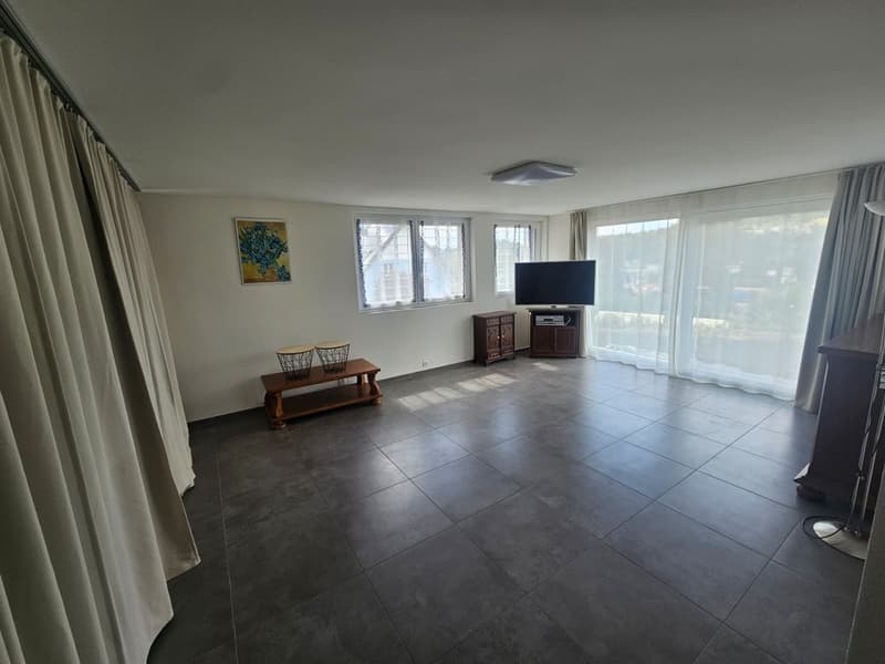 2.5 pièces meublé avec terrasse et vue dégagée + place de parc (2)