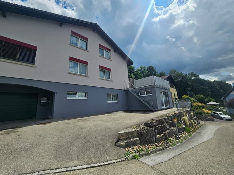 2.5 pièces meublé avec terrasse et vue dégagée + place de parc (11)