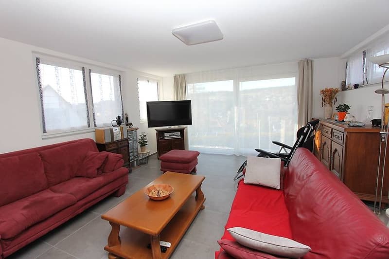 2.5 pièces meublé avec terrasse et vue dégagée + place de parc (4)