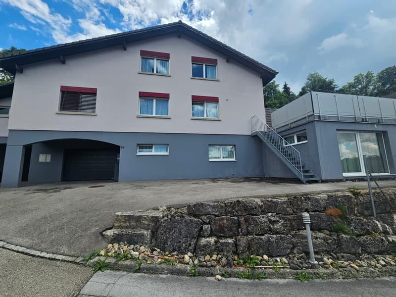 2.5 pièces meublé avec terrasse et vue dégagée + place de parc (10)