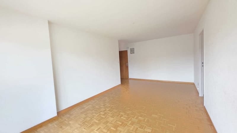 382adc13-ed5e-490e-83b2-e05d17c682b6.jpg