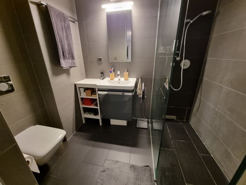 sallededouches_151205.jpg
