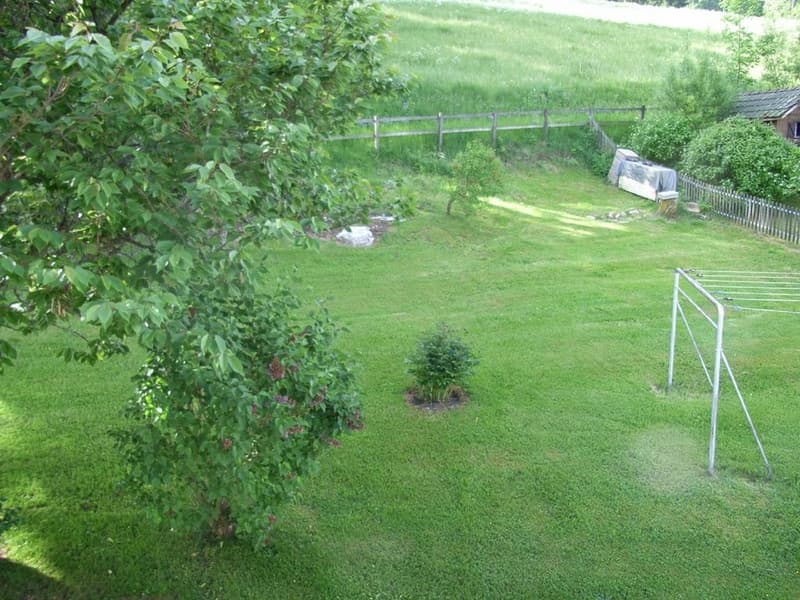 RIMG0100.jpg