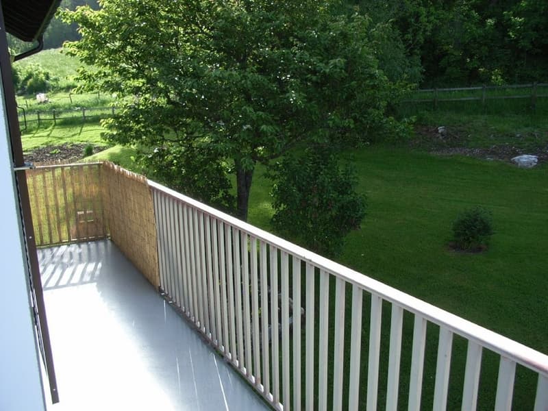 RIMG0095.jpg