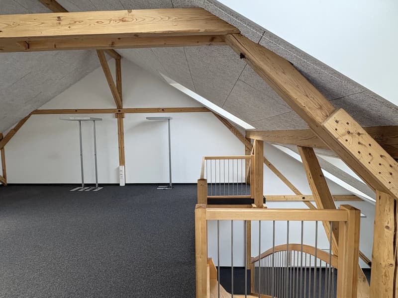 Belle surface commerciale de 90 m2 en duplex dans l'ancien arsenal à Bex (6)
