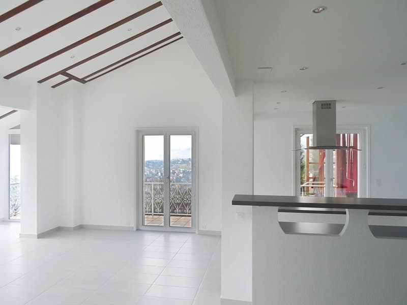 Magnifique maison de 5,5 pièces avec vue panoramique sur le lac et les montagnes. (4)