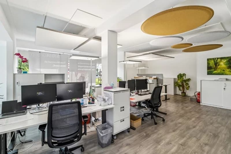 Commercial premises - showroom - Workshop (2)