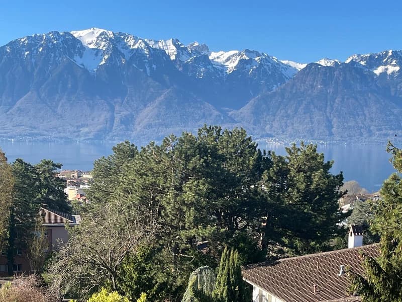 Rare à la location - Spacieux 5.5 pièces avec vue panoramique sur le Léman (4)