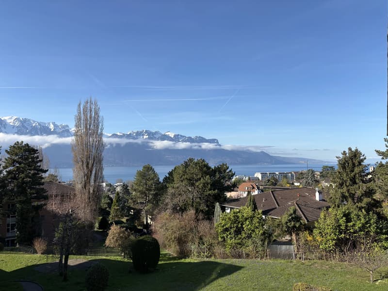 Rare à la location - Spacieux 5.5 pièces avec vue panoramique sur le Léman (3)