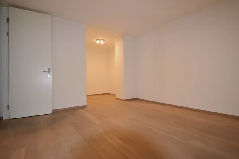 Luxurious 5.5-room high-standard apartment (6)