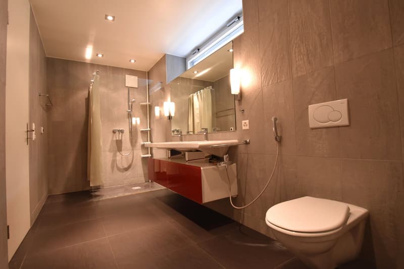 Luxurious 5.5-room high-standard apartment (7)