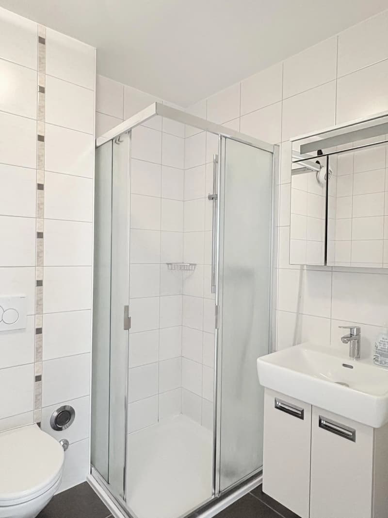 Bel appartement de 4,5 pièces situé à deux pas du lac et de toutes les commodités (9)