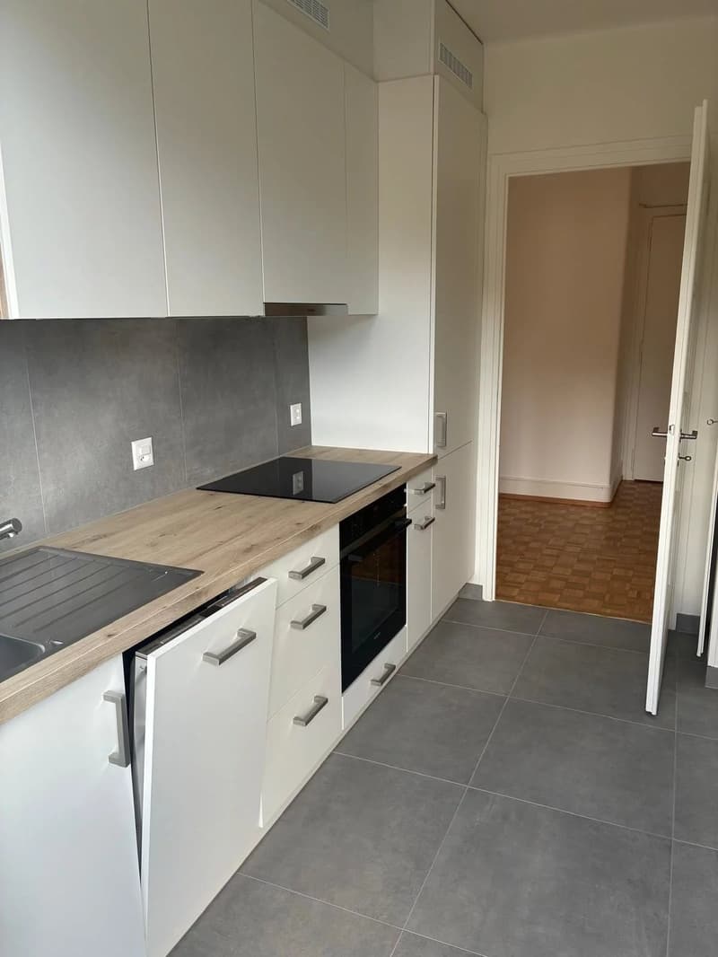 Bel appartement de 2 pièces entièrement rénové situé à Lausanne. (4)