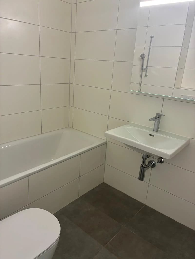 Bel appartement de 2 pièces entièrement rénové situé à Lausanne. (5)