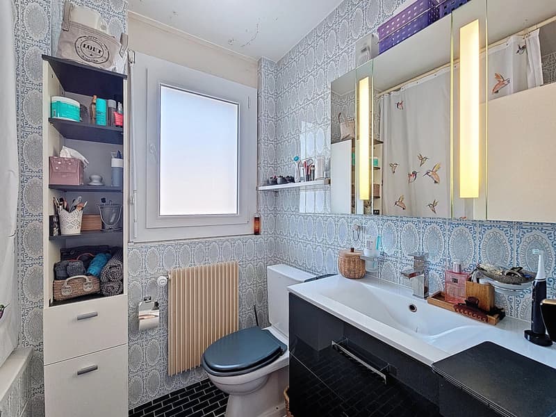 Joli appartement de 3 pièces à deux pas des quais (6)