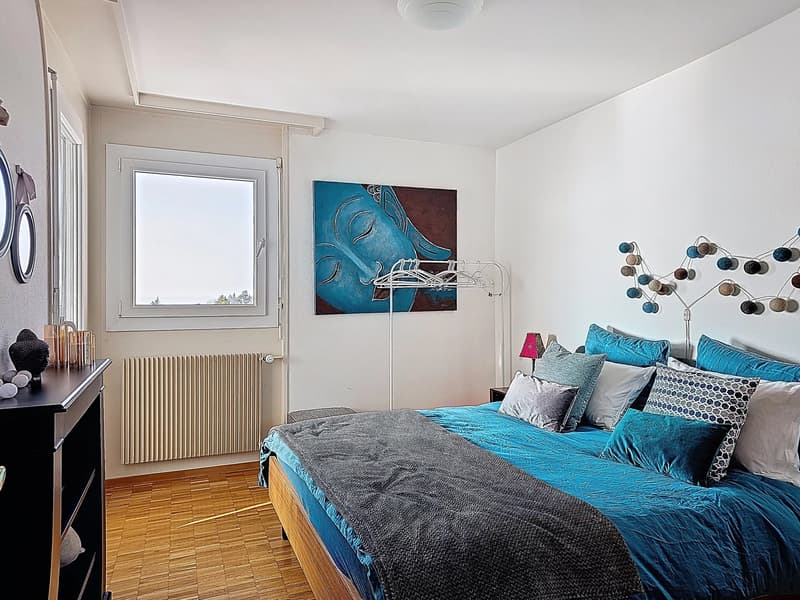 Joli appartement de 3 pièces à deux pas des quais (7)