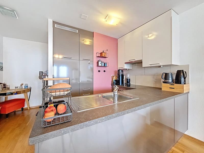 Joli appartement de 3 pièces à deux pas des quais (5)