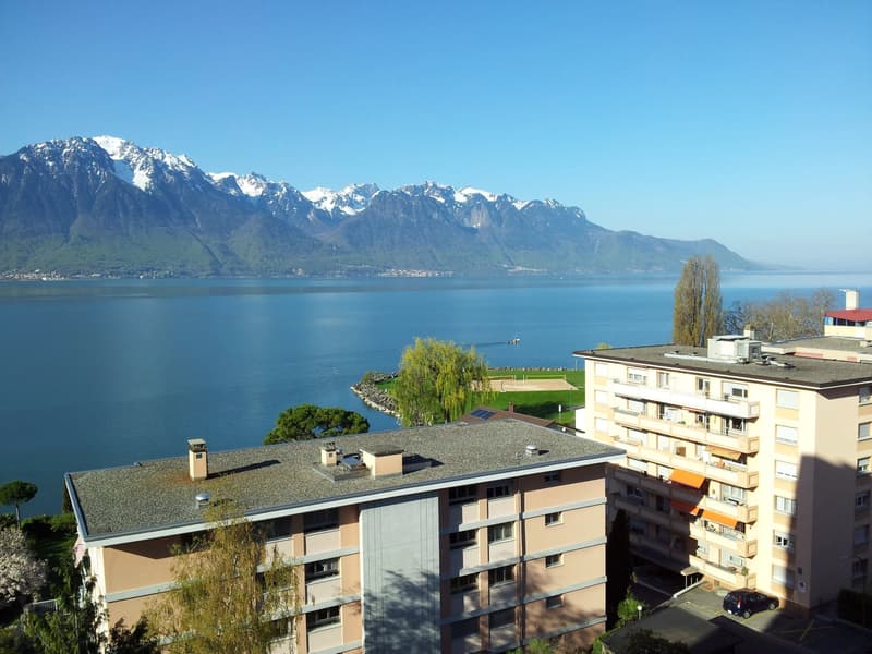 Joli appartement de 3 pièces à deux pas des quais (2)