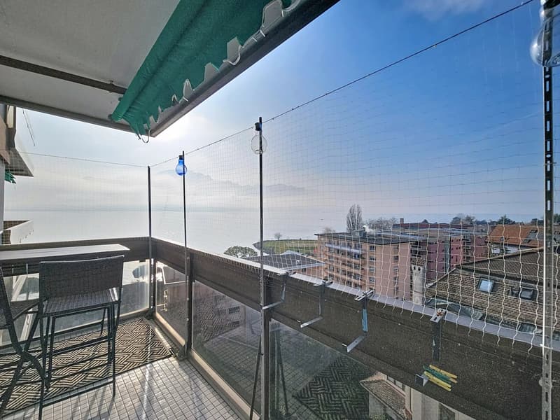 Joli appartement de 3 pièces à deux pas des quais (8)