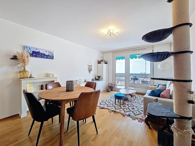 Joli appartement de 3 pièces à deux pas des quais (3)