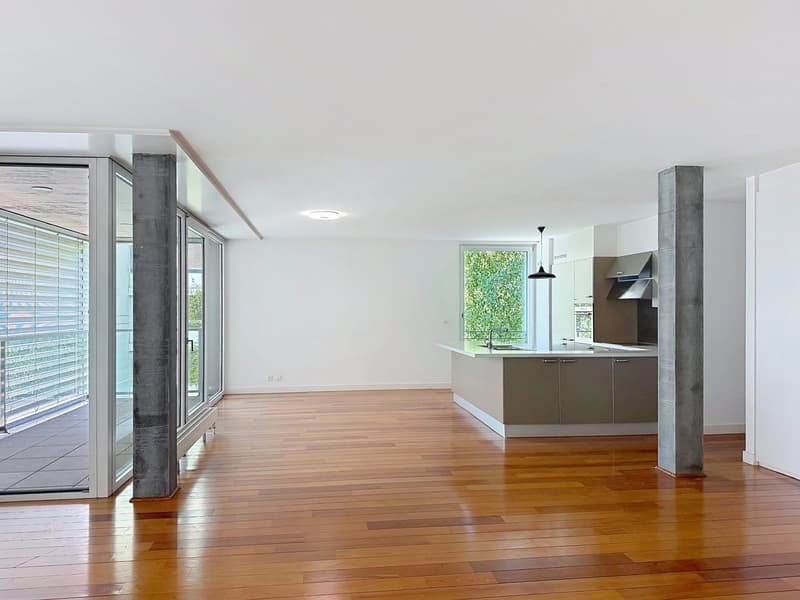 Superbe appartement lumineux, situé à deux pas du lac et du prestigieux Montreux Palace (4)