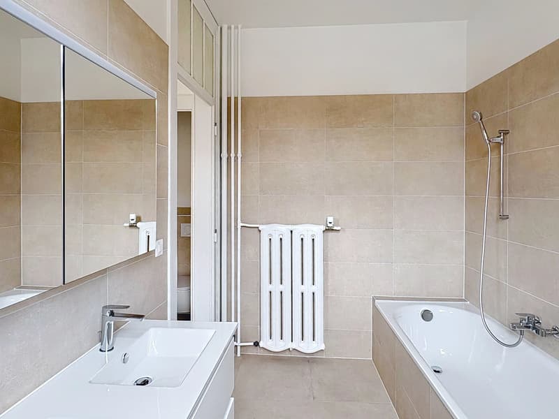 Spacieux et lumineux appartement entièrement rénové de 4,5 pièces au centre-ville. (7)