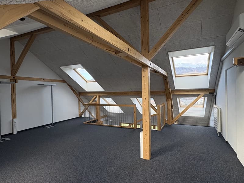 Belle surface commerciale de 90 m2 en duplex dans l'ancien arsenal à Bex (5)