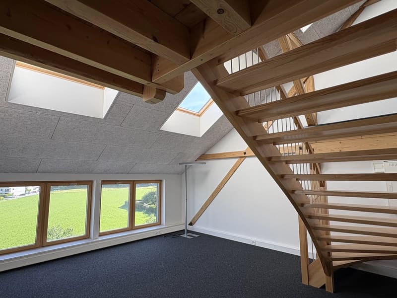 Belle surface commerciale de 106 m2 en duplex dans l'ancien arsenal à Bex (7)