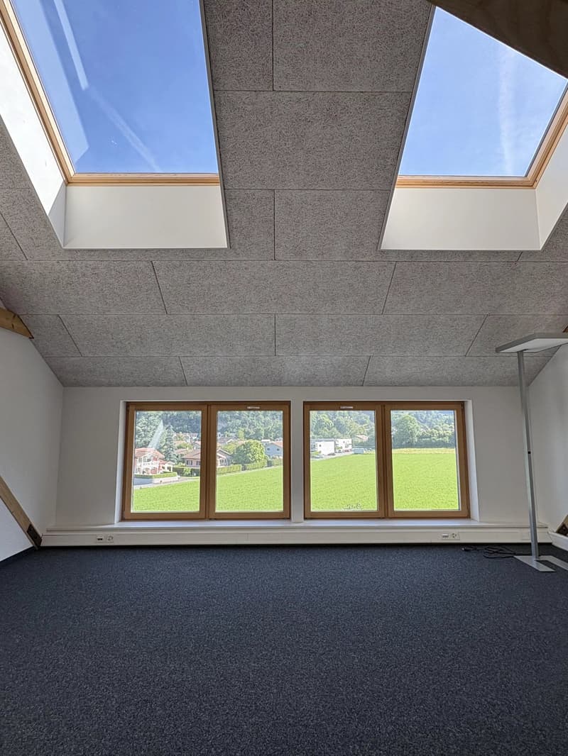 Belle surface commerciale de 106 m2 en duplex dans l'ancien arsenal à Bex (2)