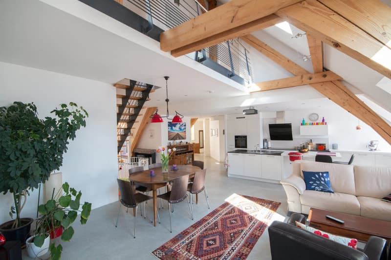 À deux pas du lac, superbe duplex de 4,5 pièces de standing avec terrasse (2)