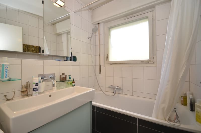 Appartement de 3,5 pièces avec belle vue sur le lac et les montagnes (7)