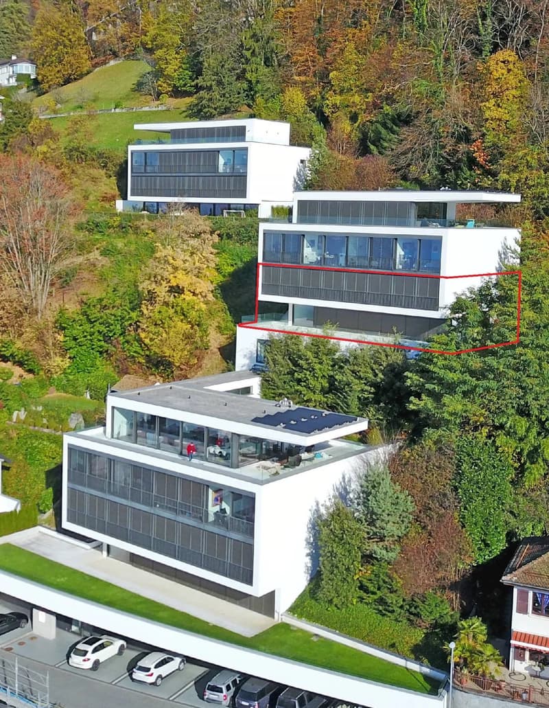 Superbe duplex de 5,5 pièces surplomblant le bassin lémanique (3)