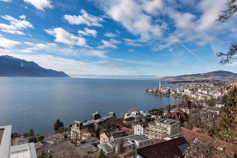 Superbe duplex de 5,5 pièces surplomblant le bassin lémanique (2)