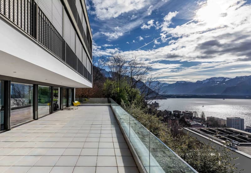 Superbe duplex de 5,5 pièces surplomblant le bassin lémanique (4)